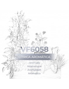 Vismaressence VF6058 - 500ml