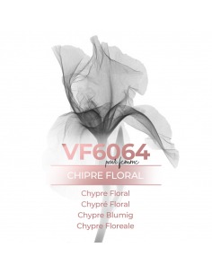 Vismaressence VF6064 500ml - Fabrica de perfumes - Perfumes a granel.