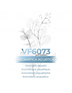 Perfume a granel - VismarEssence VF6073