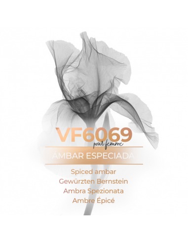 Profumi ingrosso - VismarEssence VF6069.