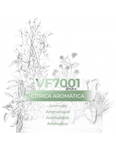 Vismaressence VF7001 1000ml - Düfte Exklusive - Parfümhersteller.
