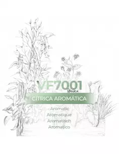 Vismaressence VF7001 1000ml - Fabrica de perfumes a granel.