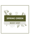 Body Mist Spring Green 310 al por mayor - VismarEssence.