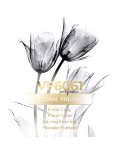 Vismaressence VF6061- 500ml