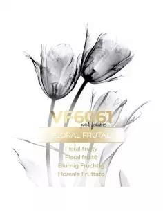 Vismaressence VF6061- 500ml