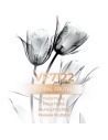 VismarEssence VF7122 - Perfumy luzem