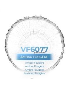 Vismaressence VF6075 1000ml - Perfume a granel