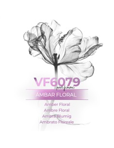 VismarEssence VF6079 - 500 ml