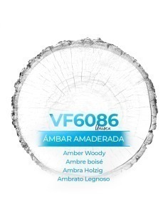 Perfume para hombres y mujeresl - VismarEssence VF6086