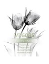 Parfume i løs vægt - VismarEssence VF6085