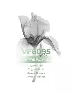 Perfume para mujer VF6095 - VismarEssence