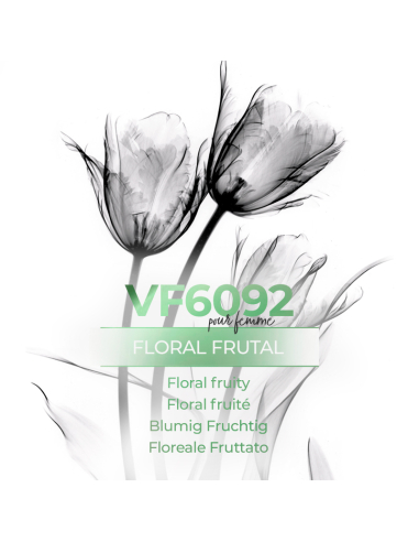 Duftzwillingen für Frauen - VismarEssence VF6092