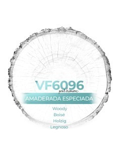 Perfume a granel para hombre - VismarEssence VF6096