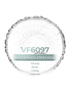 Perfume a granel para hombre - VismarEssence 6097