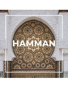 Ambientador de hogar Hamman