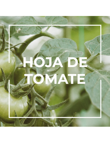 Ambientador de hogar Pulverizable Hoja de tomate 1L