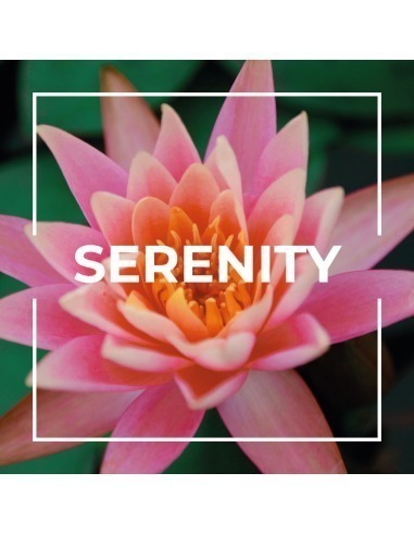 Serenity Air Freshener for Home