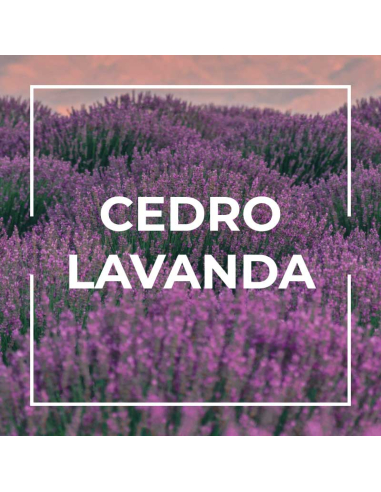 Lavendel-Zedernholz Serenity 1L