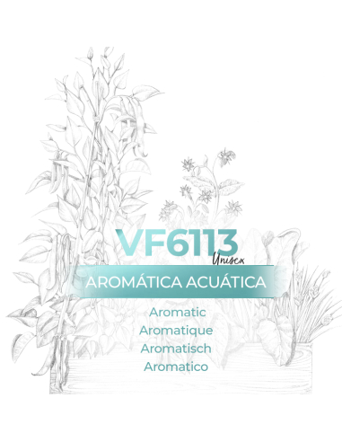 Parfum générique - VismarEssence VF6113