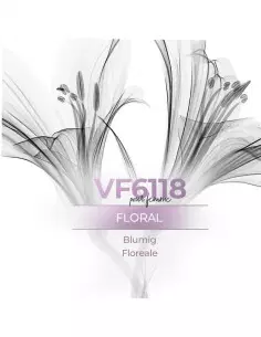 Perfume a granel - VismarEssence VF6118