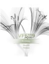 Perfume al por mayor - VismarEssence VF6119