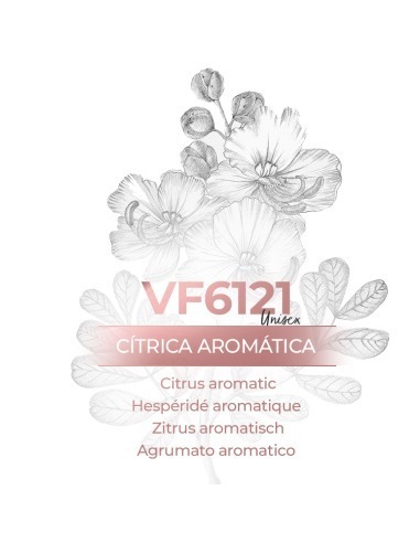 Perfume a granel - VismarEssence VF6121