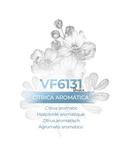 Vismaressence VF6131 - Parfüm für Männer und Frauen