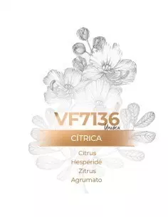 Perfume al por mayor - VismarEssence VF713