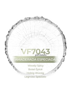 Perfume a granel - VismarEssence VF7043