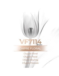 Perfume a granel - VismarEssence VF7114