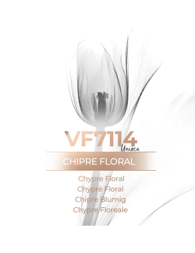 Perfume a granel - VismarEssence VF7114