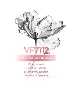 Perfume a granel - VismarEssence VF7112