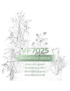 Parfum Générique - VismarEssence VF7025