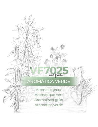 Perfume a granel - VismarEssence VF7025