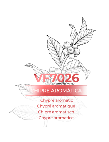 Perfume a granel - VismarEssence VF7026