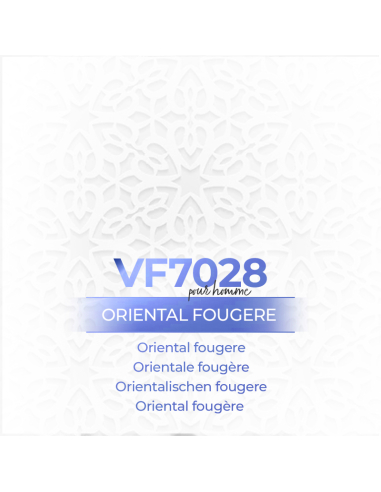 Bulk Perfume - VismarEssence VF7028