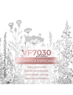 Perfume a granel - VismarEssence VF7030
