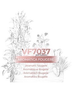 Perfume a granel - VismarEssence VF7037