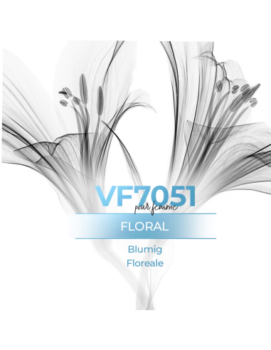 Bulk Perfume - VismarEssence VF7051