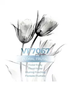 Parfum Générique - VismarEssence VF7067