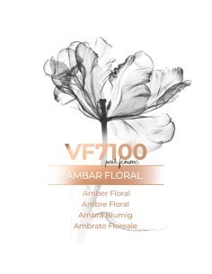 Perfume a granel - VismarEssence VF7100