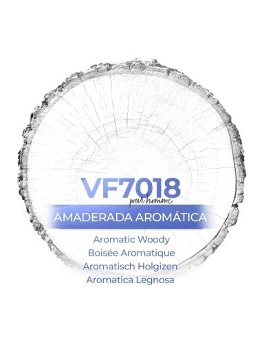 Bulk Perfume - VismarEssence VF7018