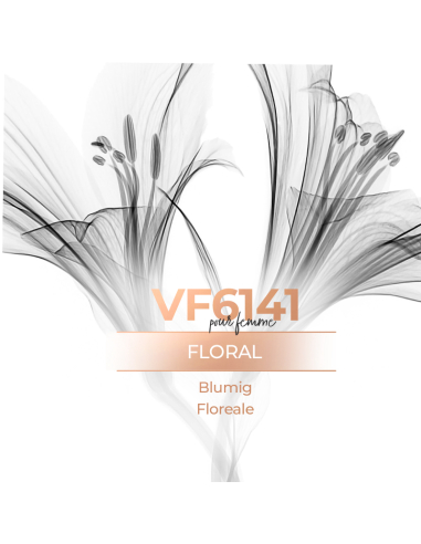Parfum en Générique - VismarEssence VF6141