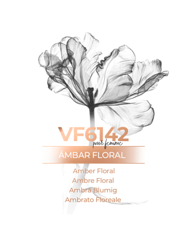 Parfum en Générique - VismarEssence VF6142