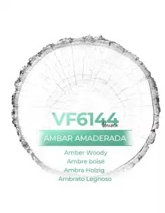 Parfum en Générique - VismarEssence VF6144