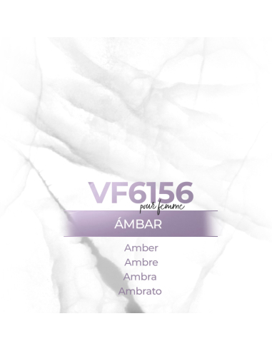 Parfum générique- VismarEssence VF6156