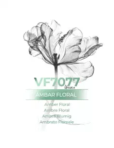 Profumo Ingrosso - VismarEssence VF7077