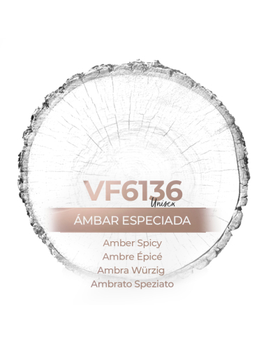 Similar Perfume - VismarEssence VF6136