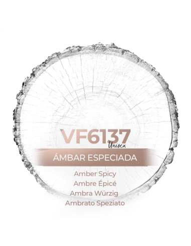 Similar Perfume - VismarEssence VF6137