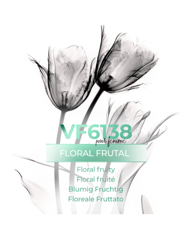 Parfum générique - VismarEssence VF6138